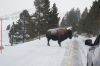 Filename=DSC_0837_01.jpg
Filesize=905KiB
Dimensions=4640x3080
Date added=Jan 06, 2016 DSC_0837_01.jpg