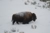 Filename=DSC_0843_01.jpg
Filesize=608KiB
Dimensions=4640x3080
Date added=Jan 06, 2016 DSC_0843_01.jpg